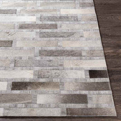 Udenhout Rustic Light Gray Area Rug