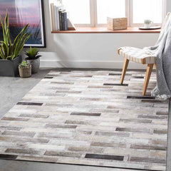 Udenhout Rustic Light Gray Area Rug