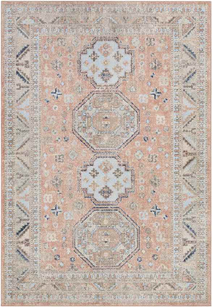 Fribourg Traditional Coral Area Rug