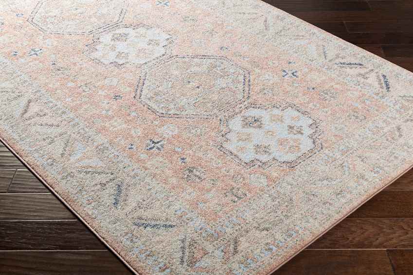Fribourg Traditional Coral Area Rug