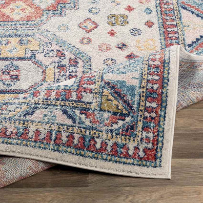Fribourg Traditional Beige Area Rug