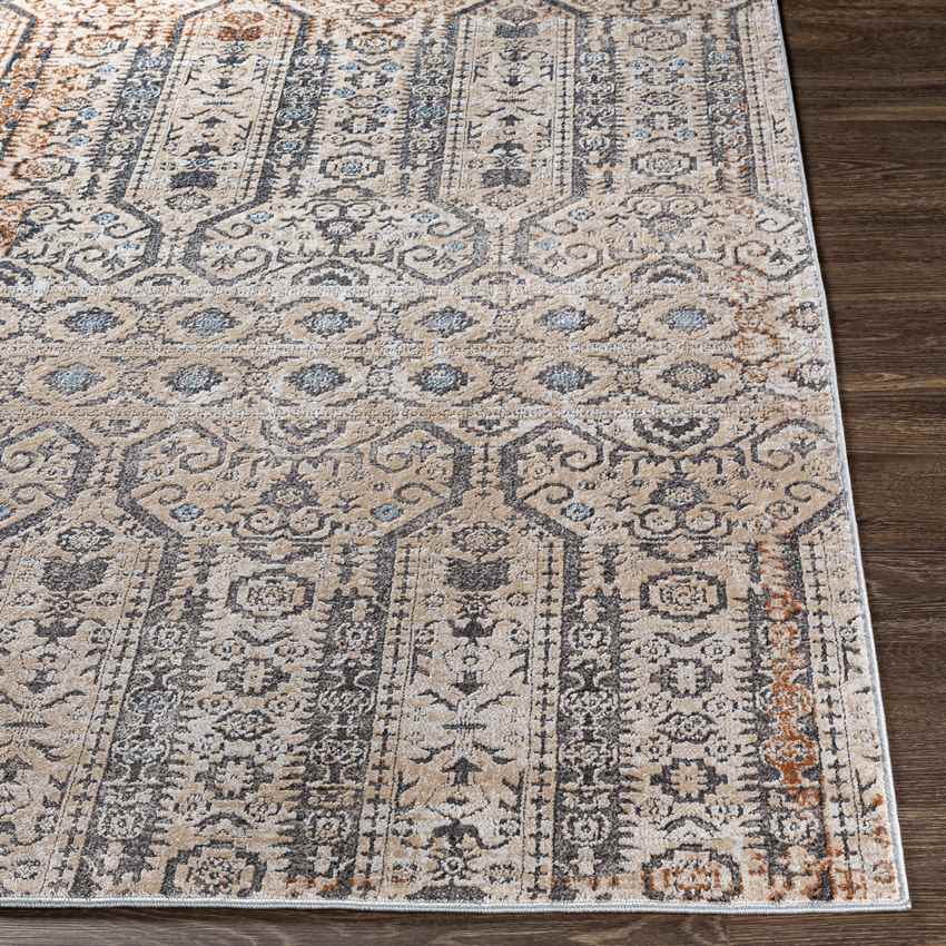Vlierden Traditional Medium Gray Area Rug