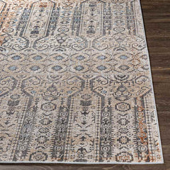 Vlierden Traditional Medium Gray Area Rug