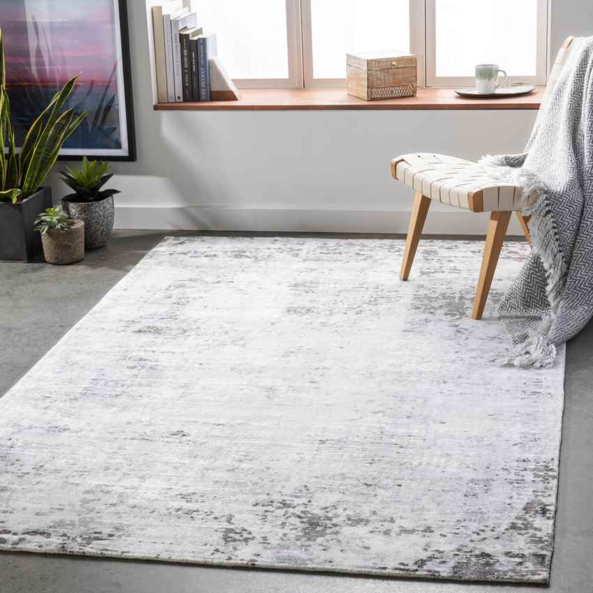 Ohe Modern Light Gray Area Rug