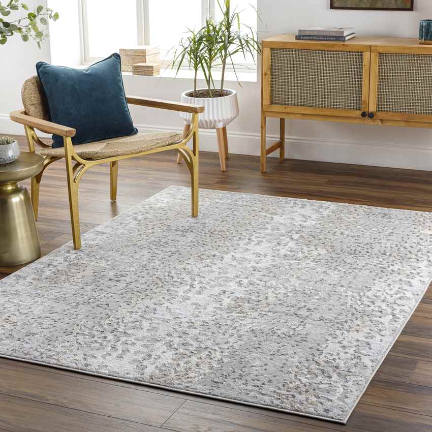 Oostrum Modern Light Gray Area Rug
