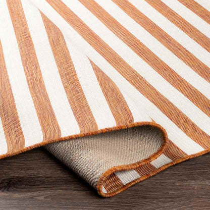 Alize Cottage Orange Area Rug