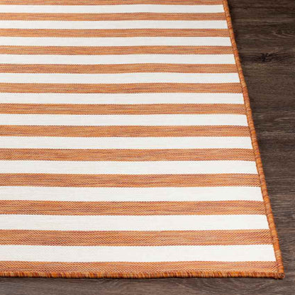 Alize Cottage Orange Area Rug