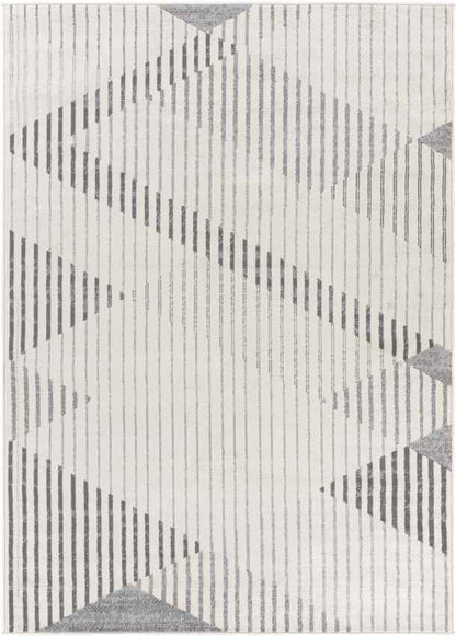 Pesaken Modern Light Gray Area Rug