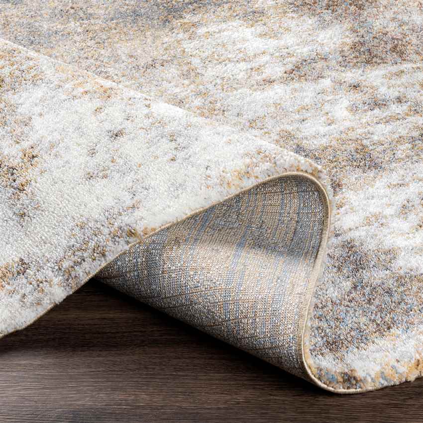 Raaieind Modern Bright Brown Area Rug