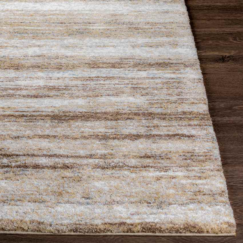 Reutje Modern Brown Area Rug