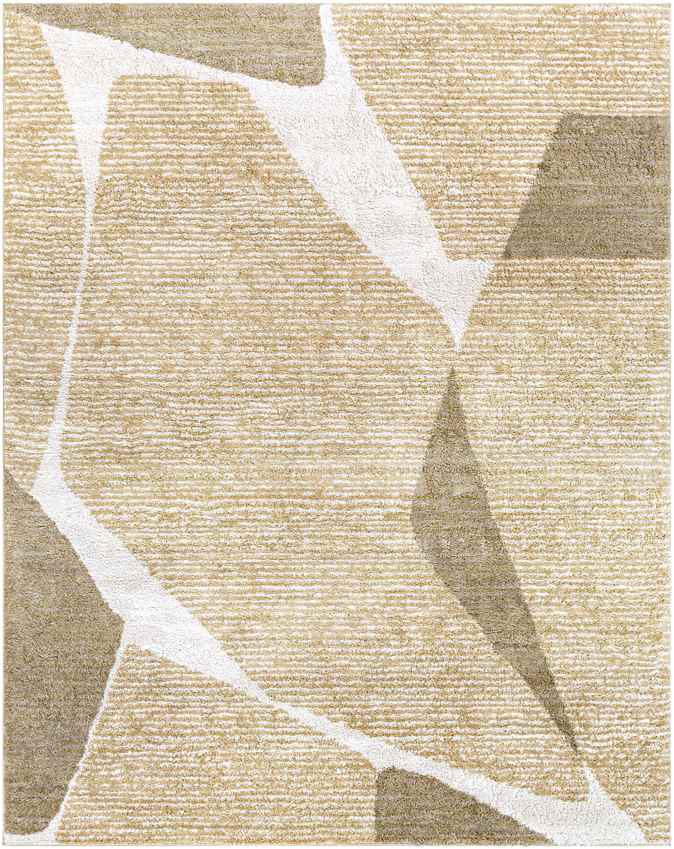 Reuver Modern Beige Area Rug