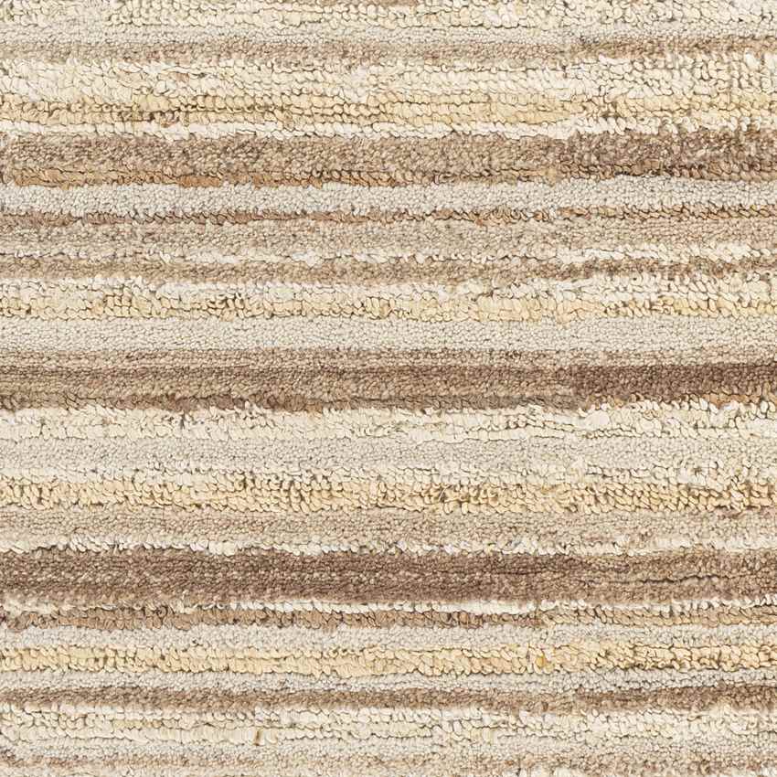 Rijkel Traditional Beige Area Rug
