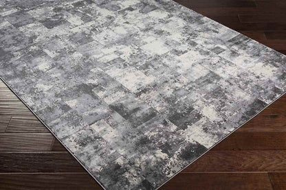 Roer Modern Black Area Rug
