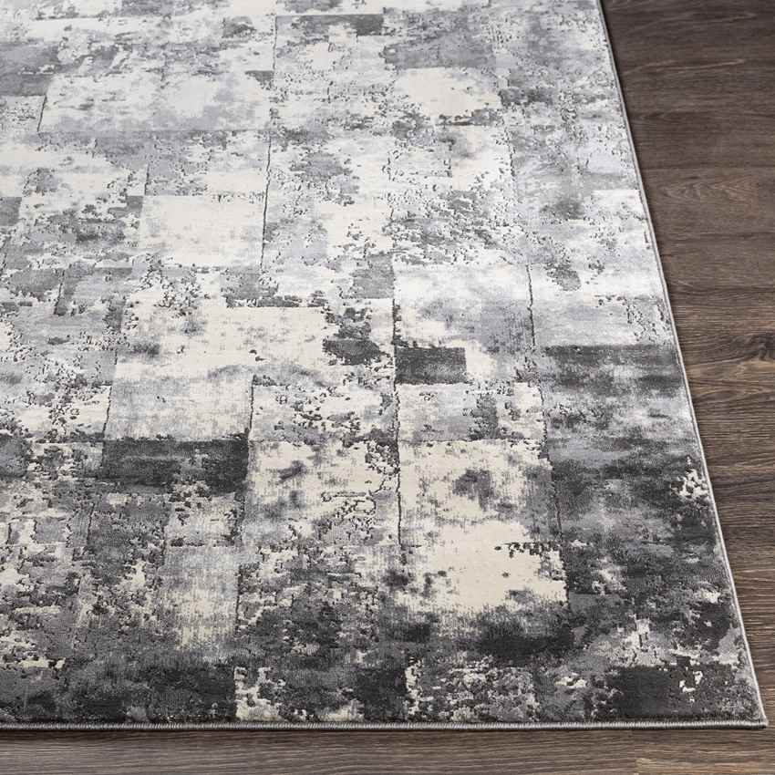 Roer Modern Black Area Rug