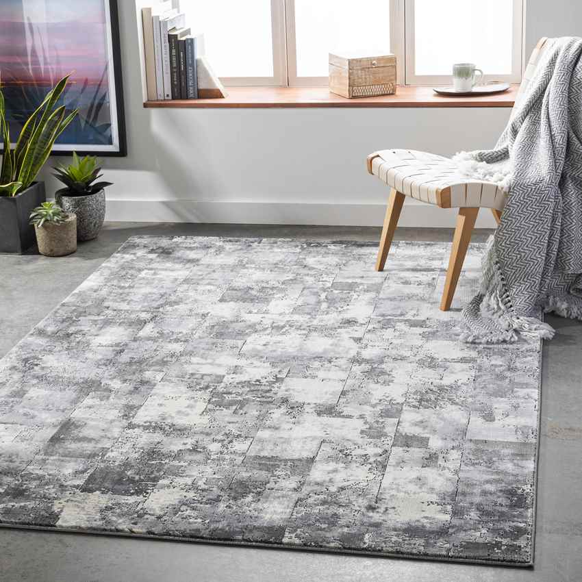 Roer Modern Black Area Rug