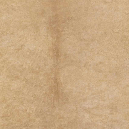 Schafelt Rustic Cream Area Rug