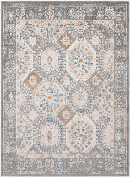 Scheide Traditional Grey Area Rug