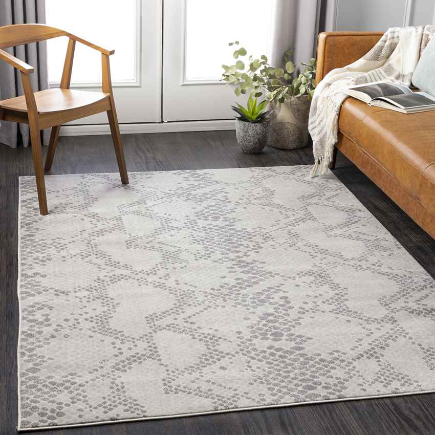 Vijlen Modern Grey Area Rug