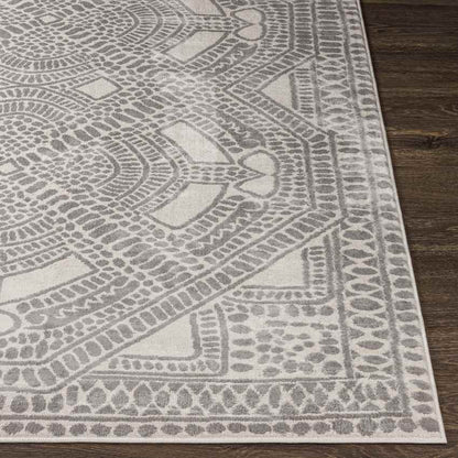 Vlodrop Global Charcoal Area Rug