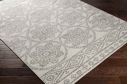Voulwames Global Light Gray Area Rug