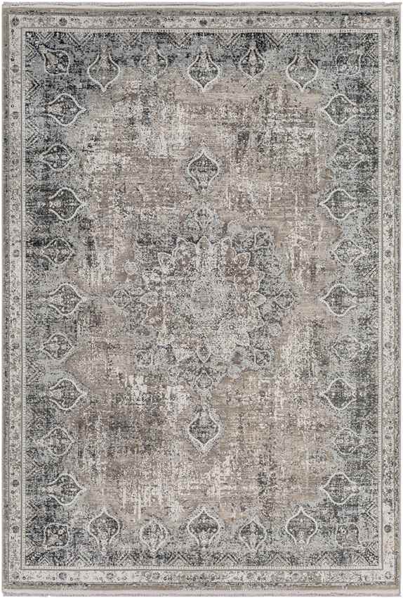 Alteveer Traditional Light Gray Area Rug