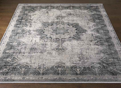 Alteveer Traditional Light Gray Area Rug