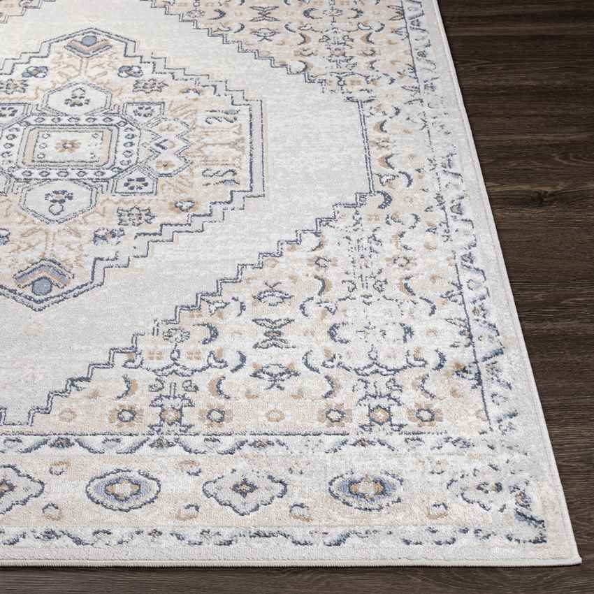 Beerta Traditional White Area Rug