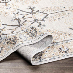 Beswerd Traditional Brown Area Rug