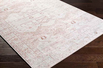 Biessum Traditional Light Brown Area Rug