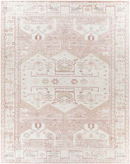 Biessum Traditional Light Brown Area Rug