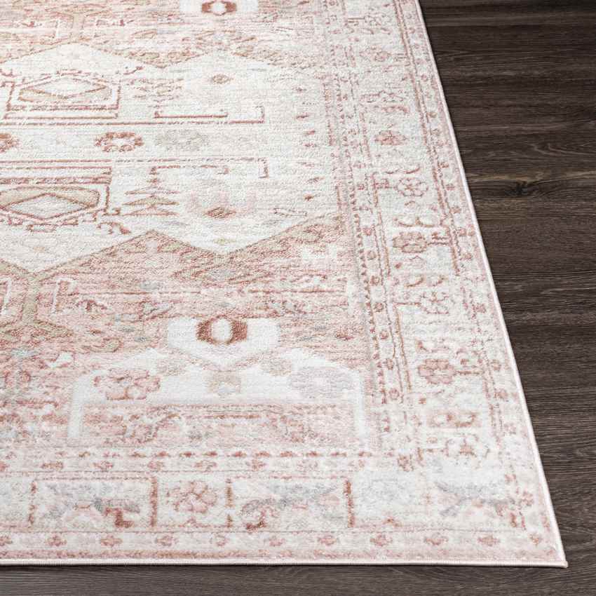 Biessum Traditional Light Brown Area Rug