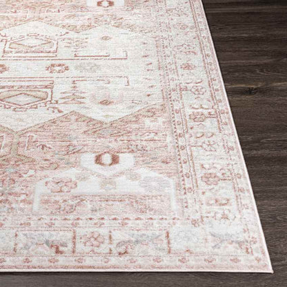 Biessum Traditional Light Brown Area Rug