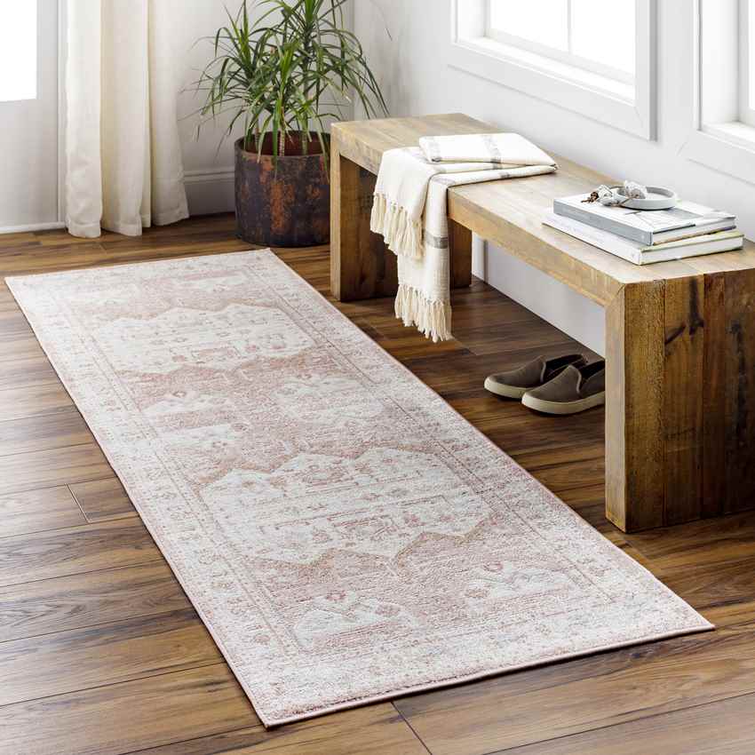 Biessum Traditional Light Brown Area Rug