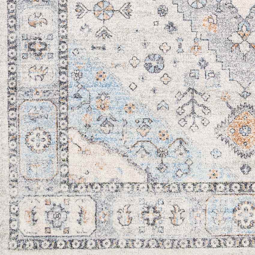 Briltil Traditional Taupe Area Rug