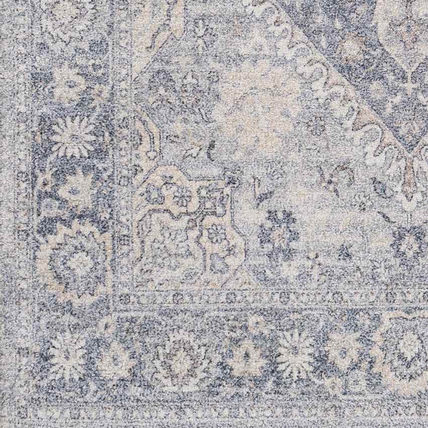 Delfzijl Traditional Pale Blue Area Rug
