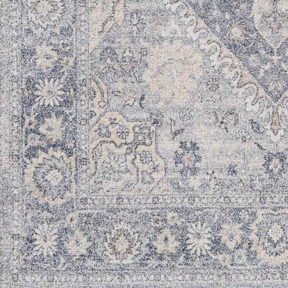 Delfzijl Traditional Pale Blue Area Rug