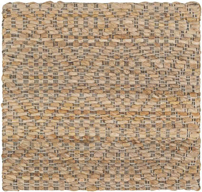 Ewer Modern Camel Area Rug