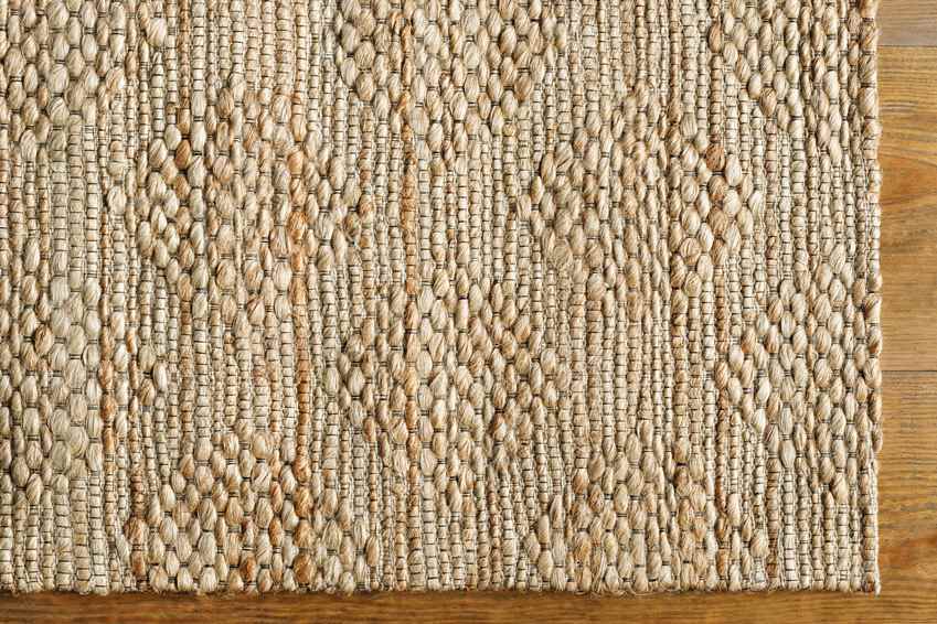 Ezinge Modern Beige/Brown Area Rug