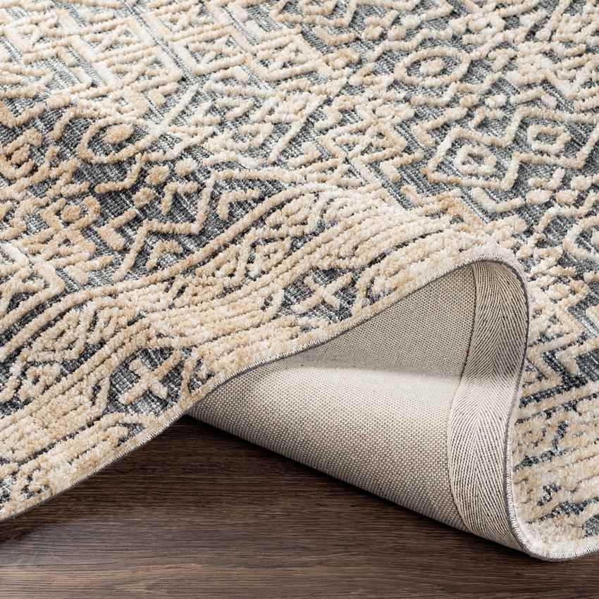 Glimmen Traditional Blue Area Rug