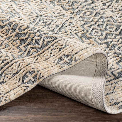 Glimmen Traditional Blue Area Rug