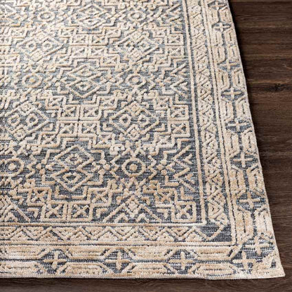 Glimmen Traditional Blue Area Rug
