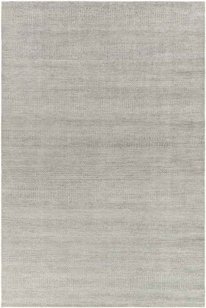 Hefswal Modern Medium Gray Area Rug