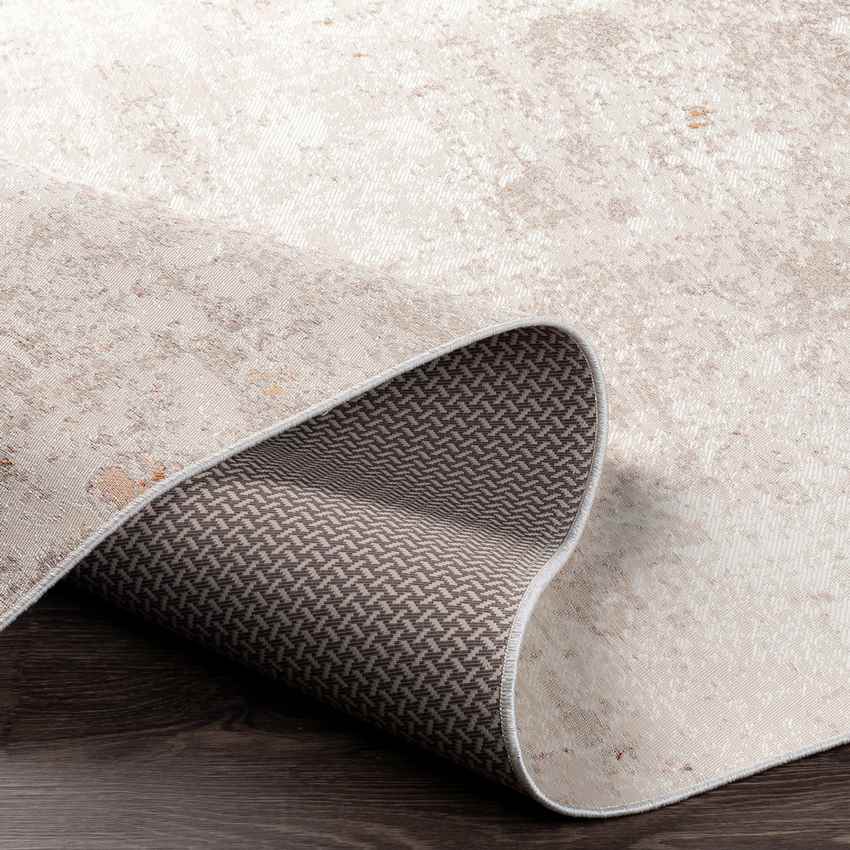 Hekkum Modern Light Beige Area Rug