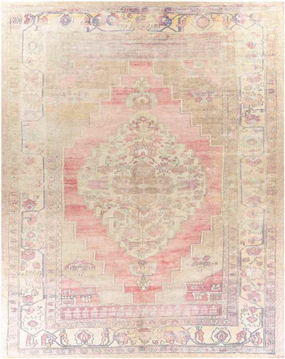 Holwinde Traditional Cream Area Rug
