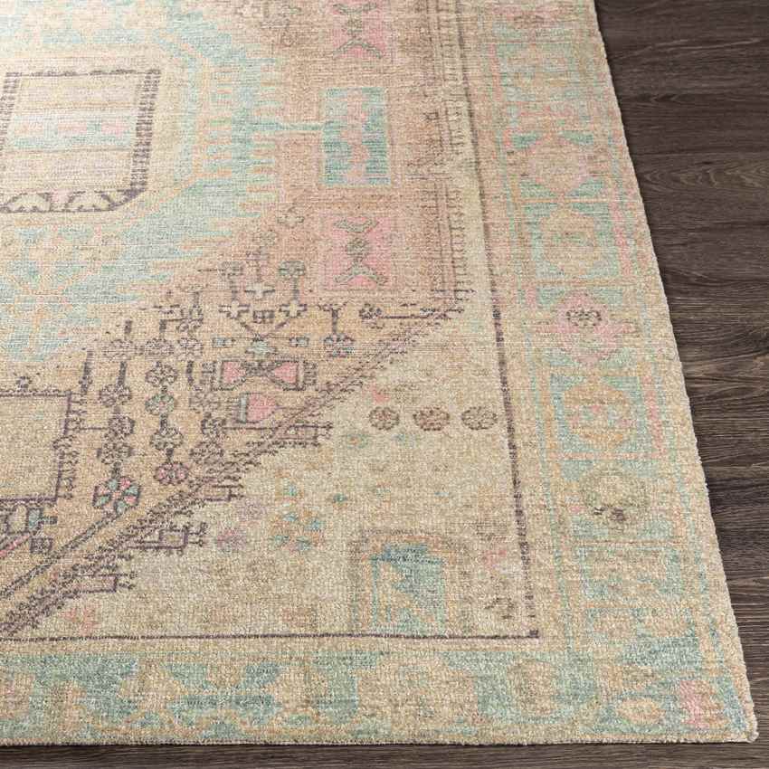 Horsten Traditional Beige Area Rug
