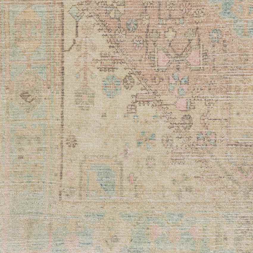 Horsten Traditional Beige Area Rug