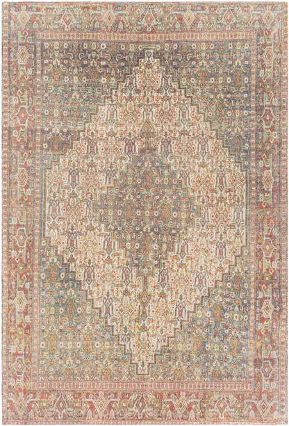 Kantens Traditional Burnt Orange Area Rug