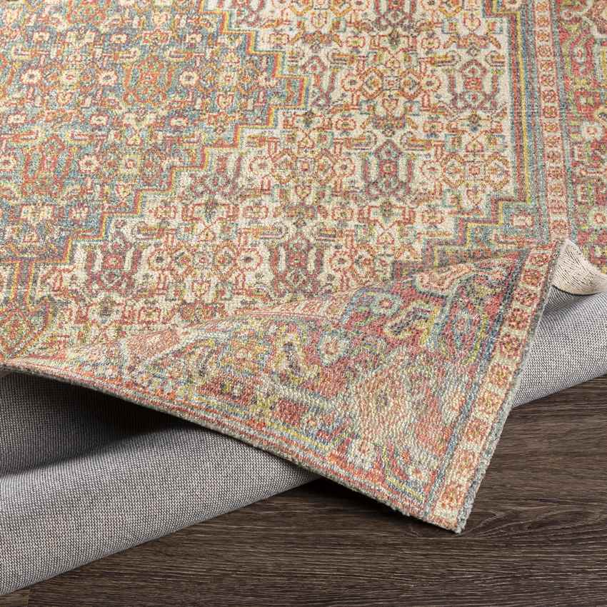 Kantens Traditional Burnt Orange Area Rug