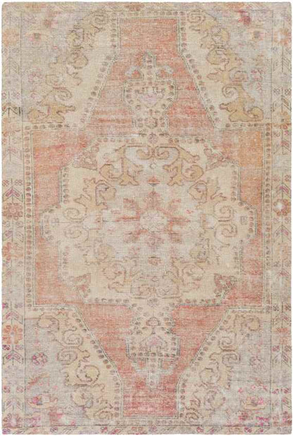 Kolham Traditional Orange Area Rug
