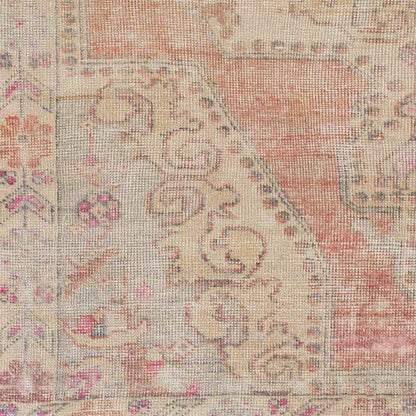 Kolham Traditional Orange Area Rug